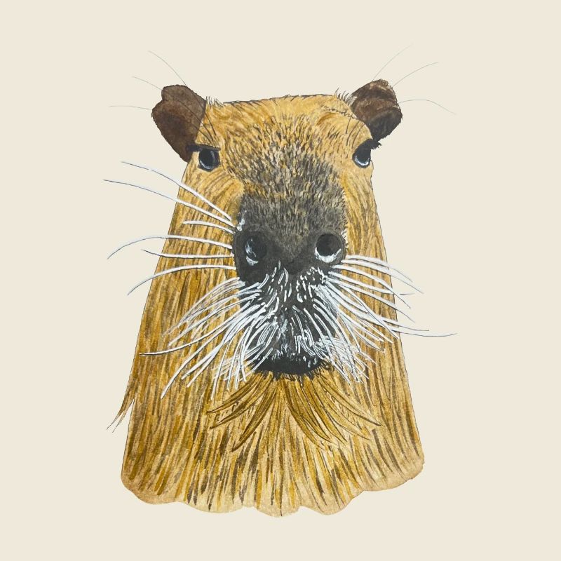 cute capybara capybara capibara guinea pig