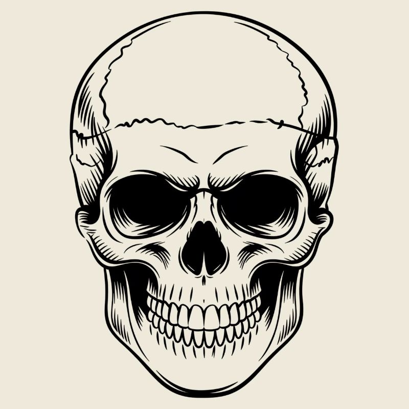 Skull