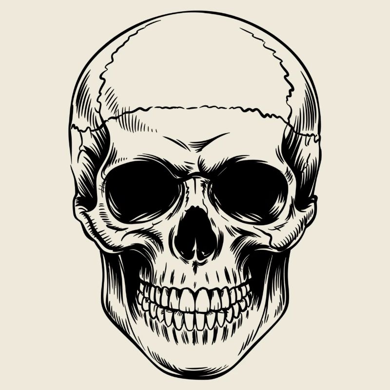 Skull