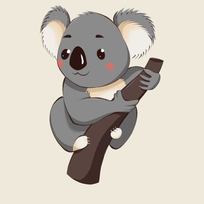 Koala