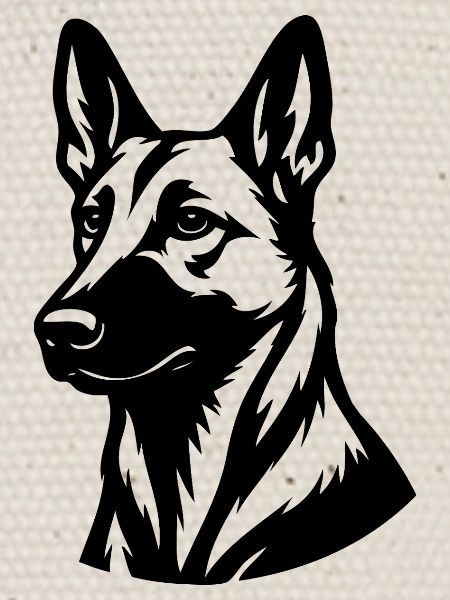 Malinois