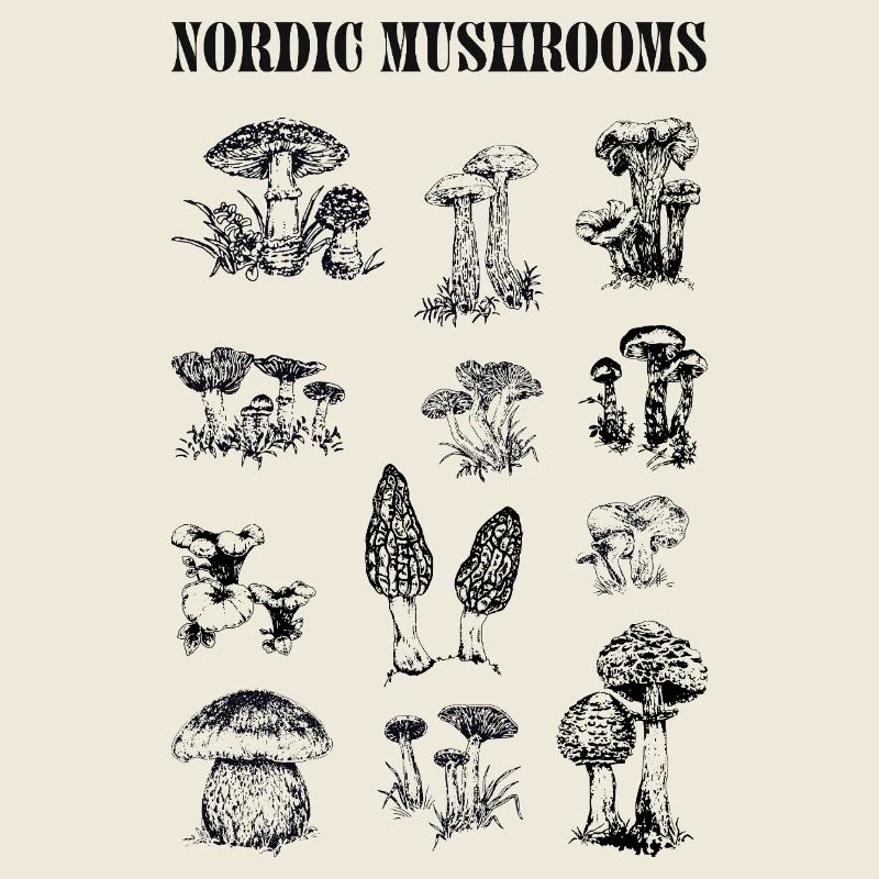 CHAMPIGNONS NORDIQUES