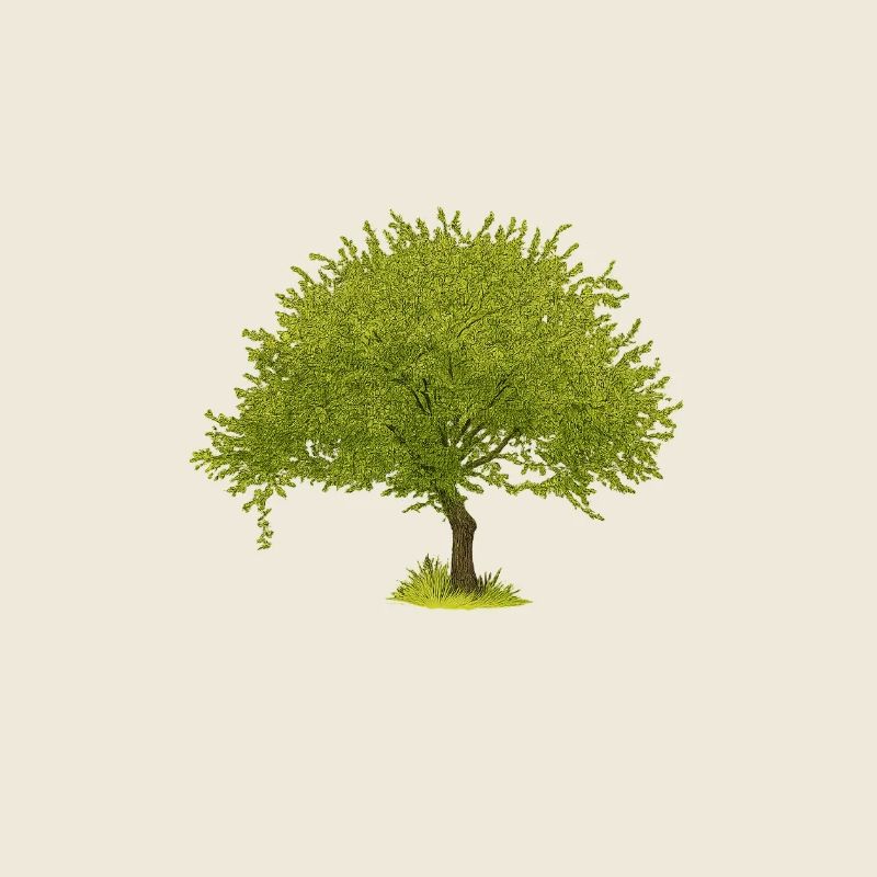 Arbre d’été vert