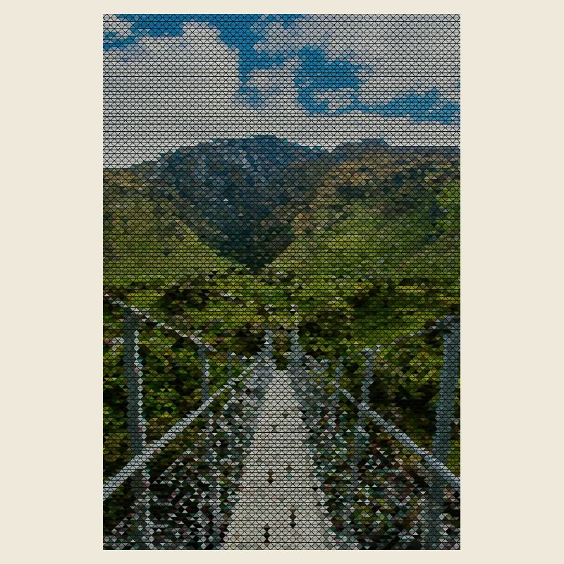 Grid path in the vineyard panorama