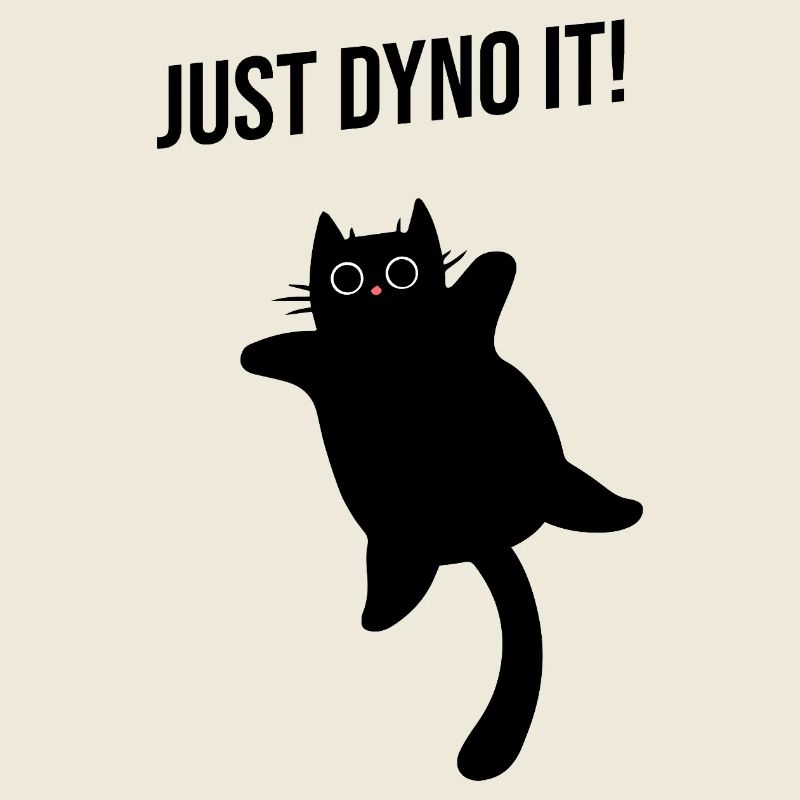 Cat climbs dynamically climbing route Dyno boulder