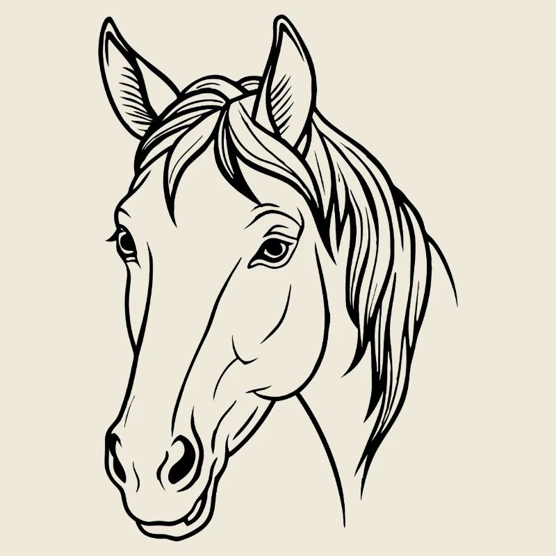 Tête de cheval