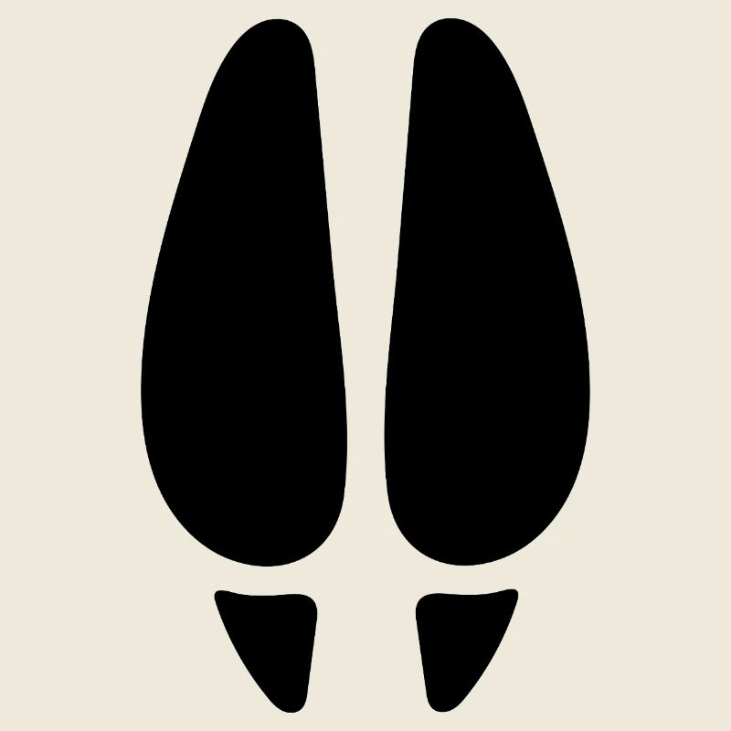 Empreinte de cerf