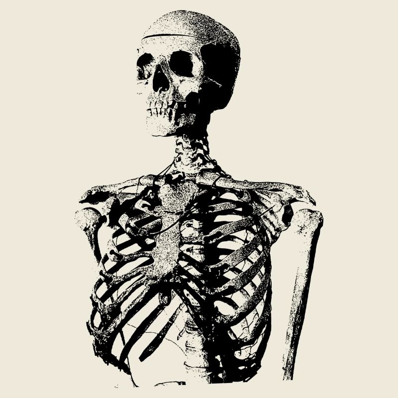 Glitch Skeleton Melt Dark Aesthetic Design