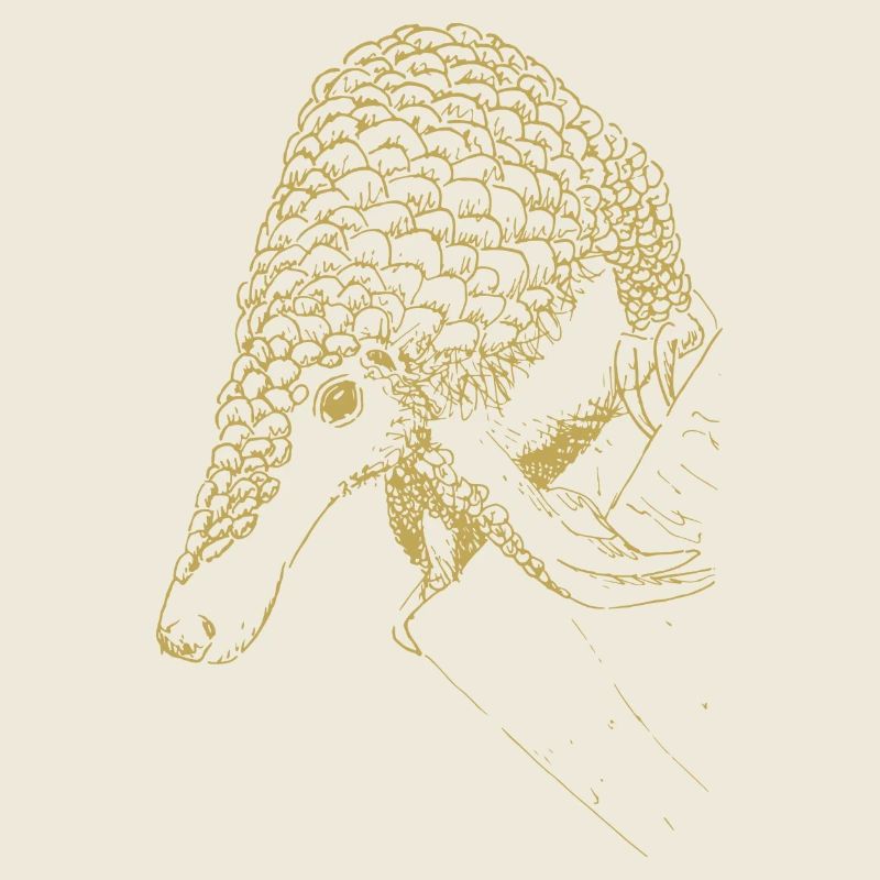 Illustrierte Designs mit Gürteltier