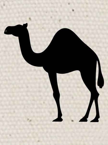 Camel