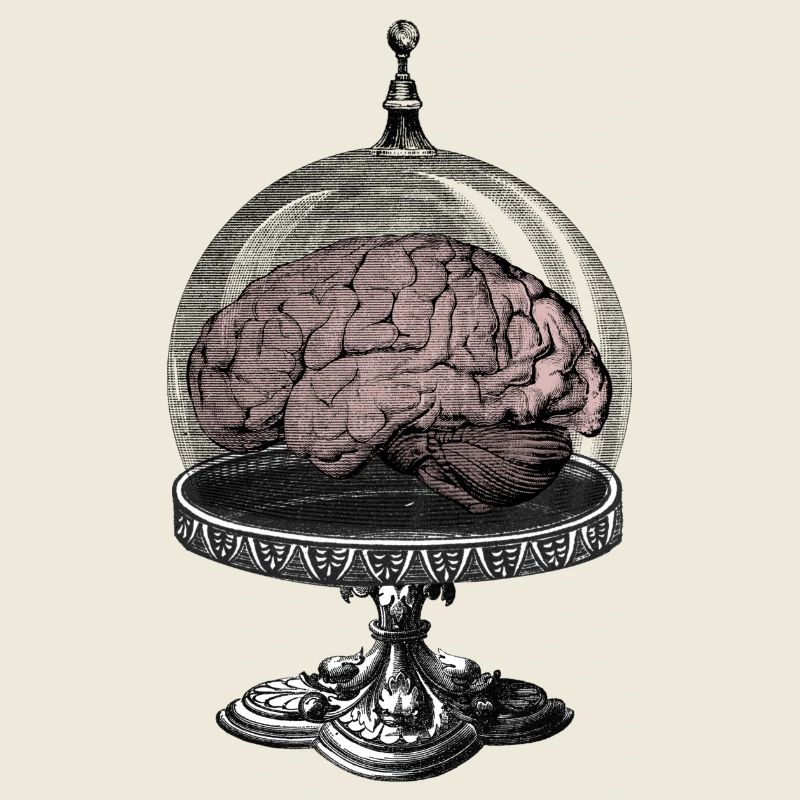 Monster Brain Horror Science-Fi Design