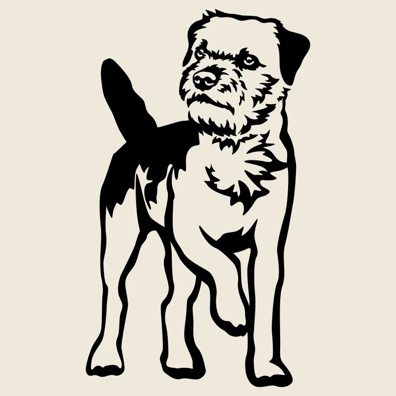 Border Terriers