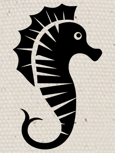 Hippocampe