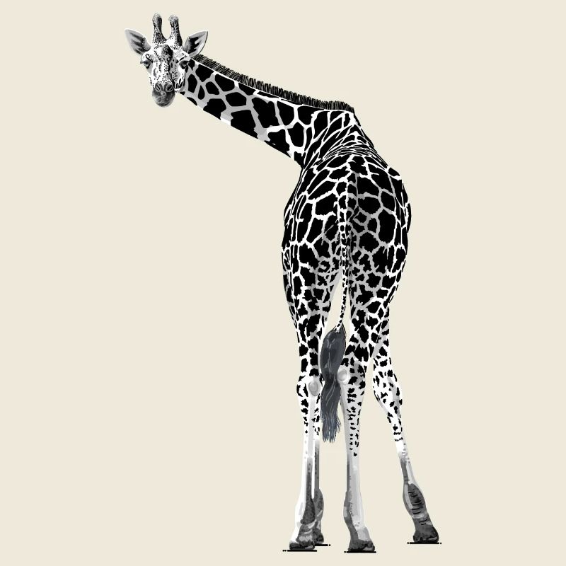 Giraffe greets friendly