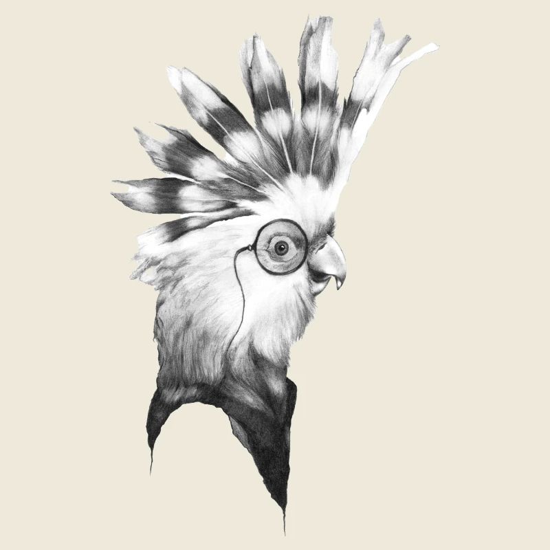 Cockatoos
