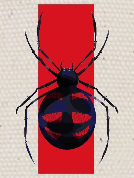 Motif araignée gothique