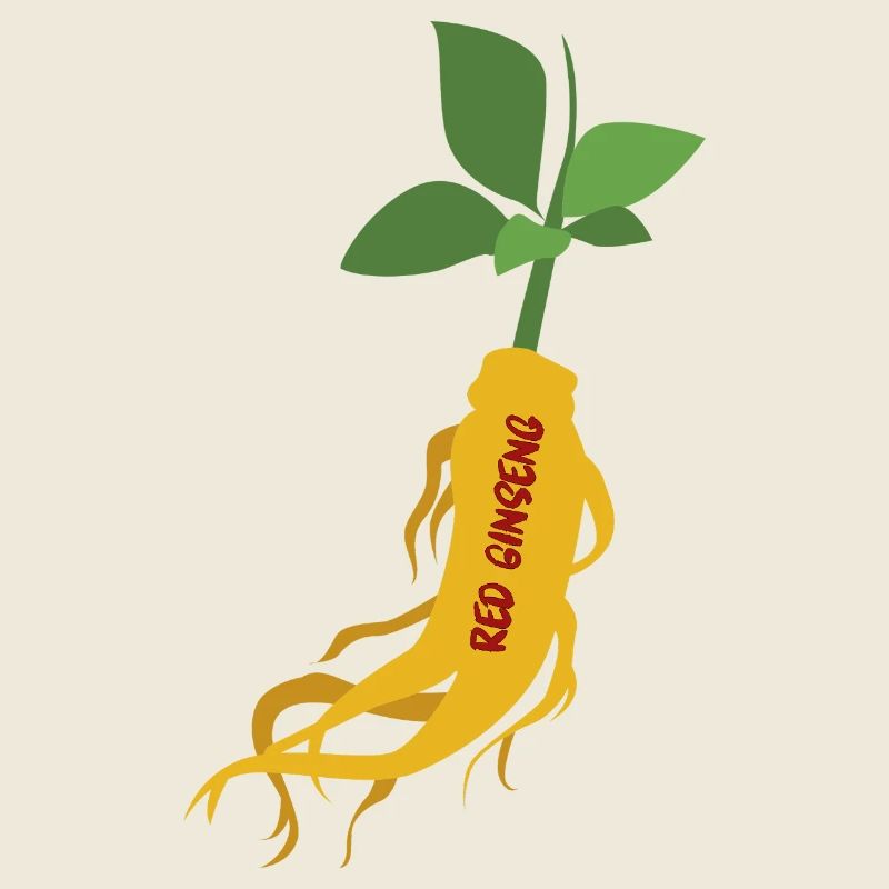 Ginseng rouge coréen – Power Root
