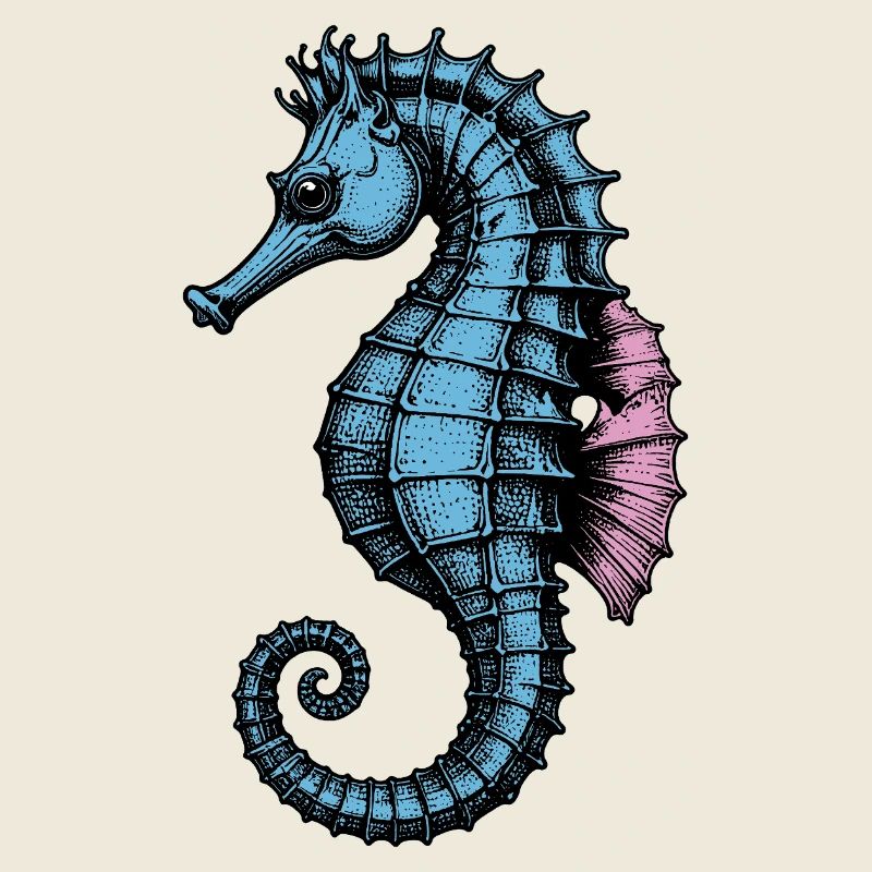 Seepferdchen