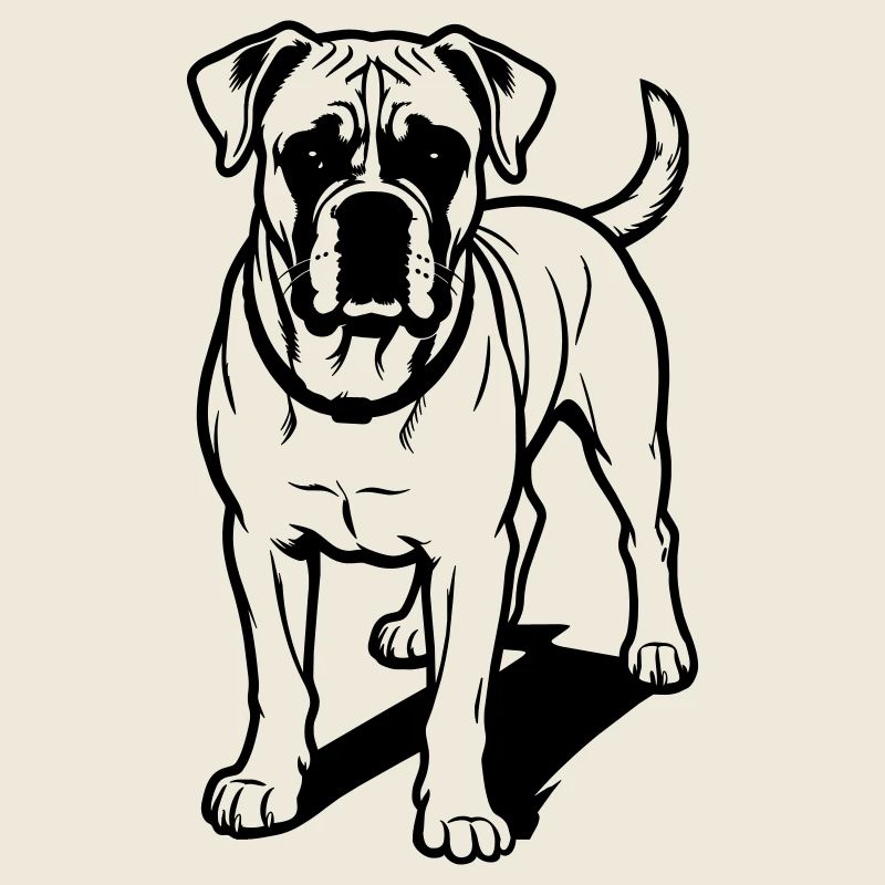 Boxerhund