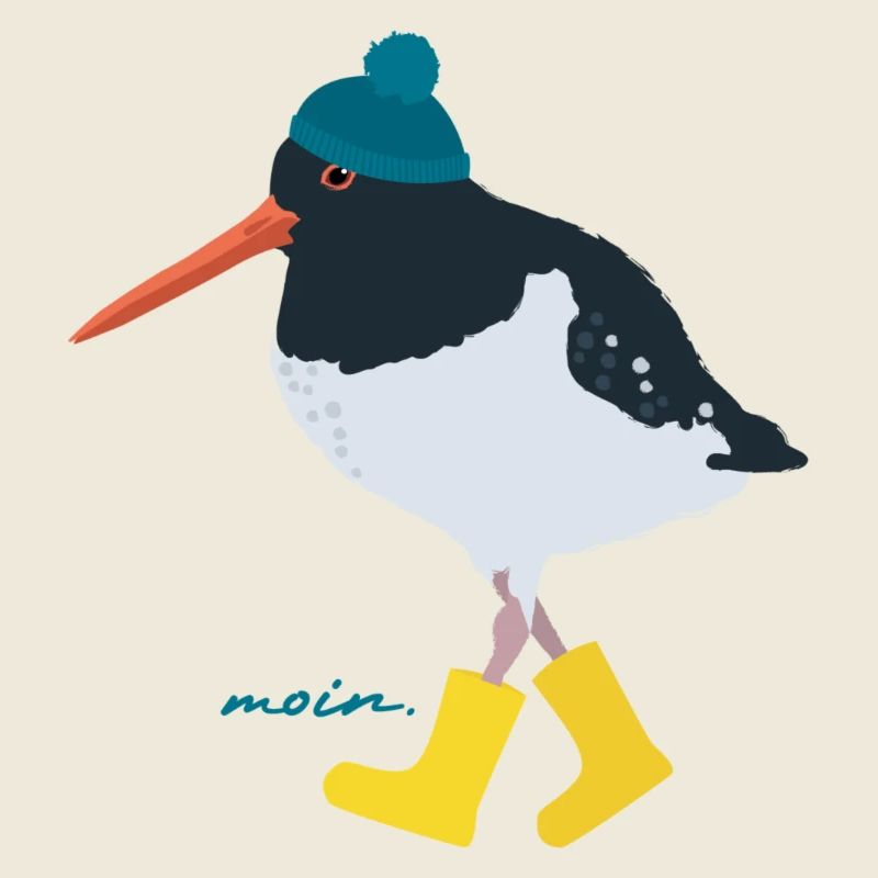 Austernfischer mit Gummistiefeln moin