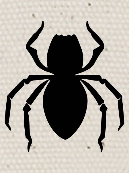 spider