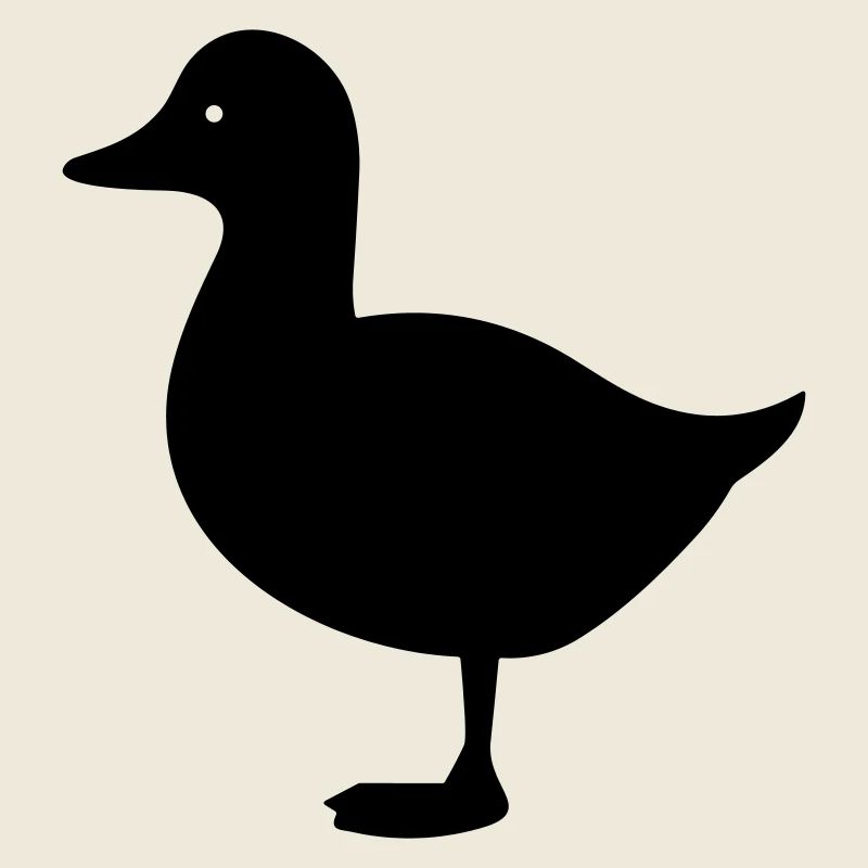 Canard