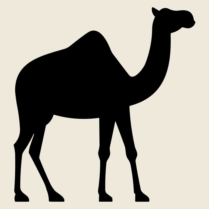 Camel