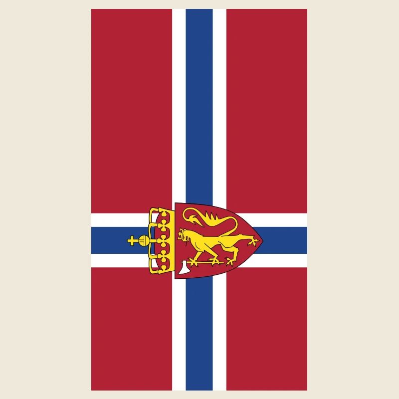 Norway flag phone case