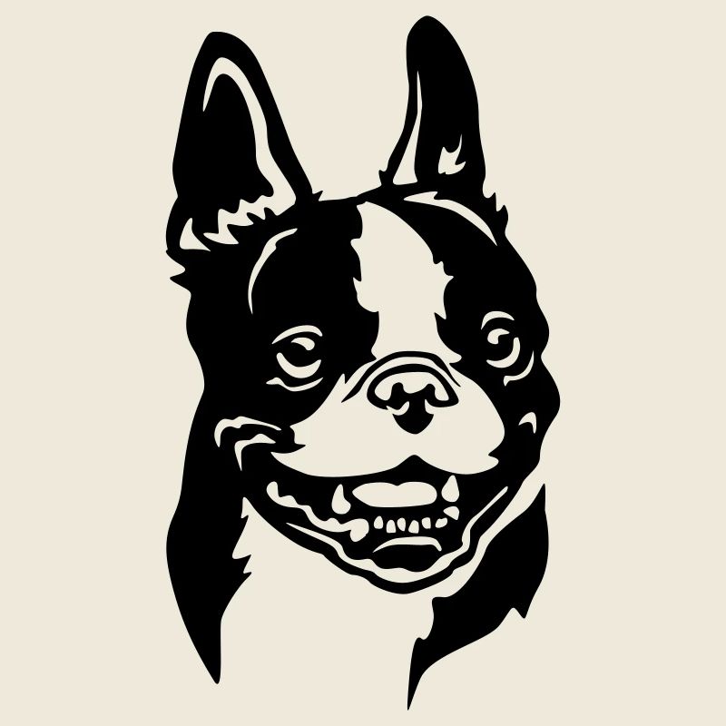 Tête de Boston Terrier
