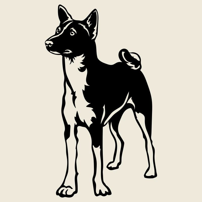Basenji