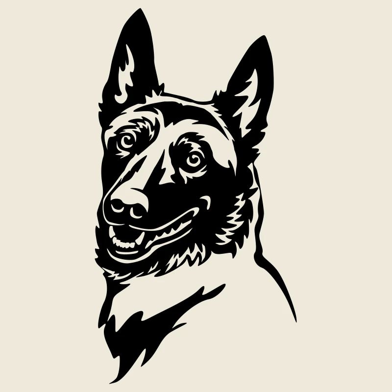 Tête malinois