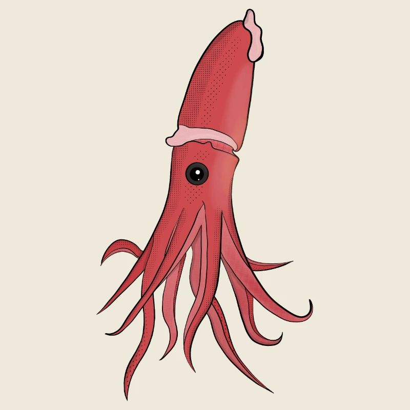 Meerestiere: Ein wunderschöner Tintenfisch