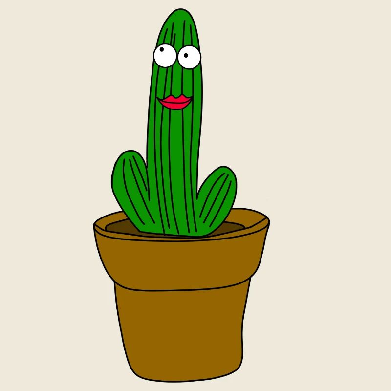 Cactus avec visage