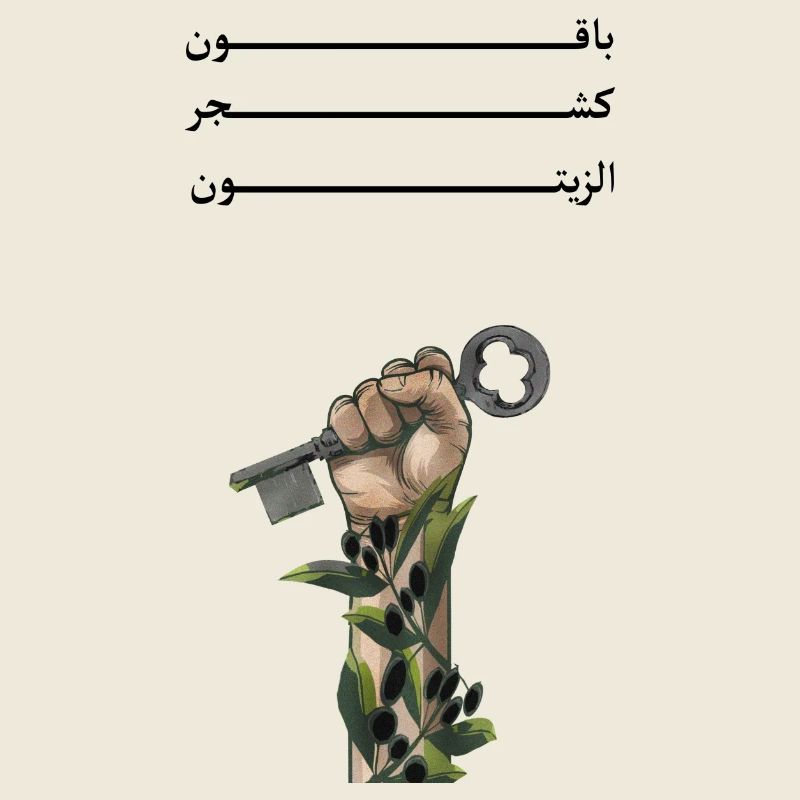 Solid like Oliven trees