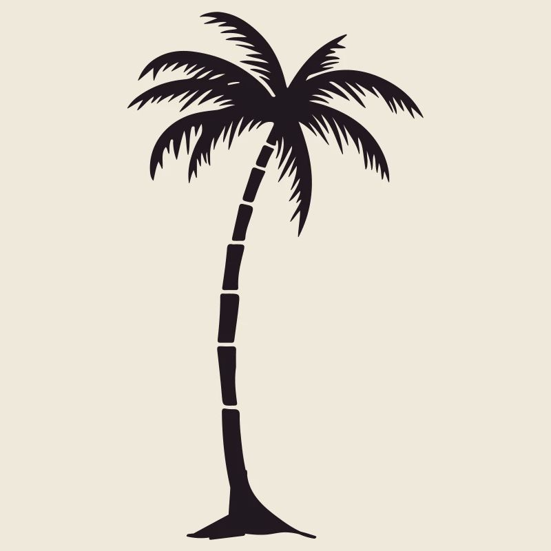 Elegante Palme Schwarz Silhouette