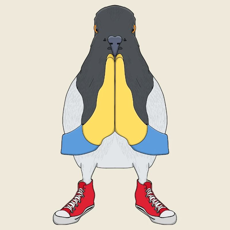 Pigeon Pèlerin Avec Chaussures