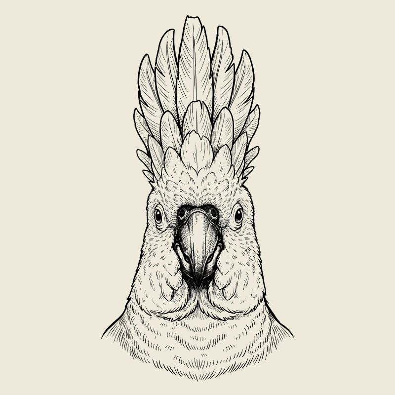 Cacatoès