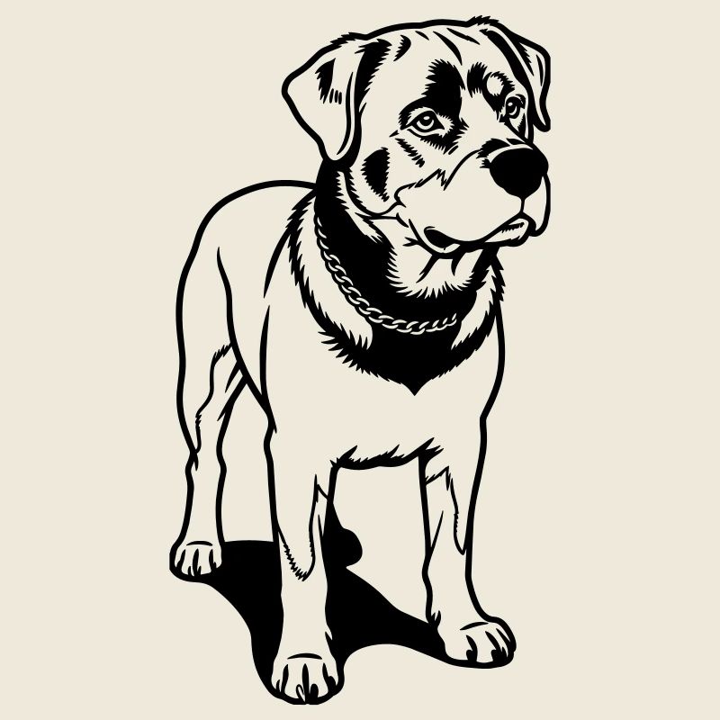Rotweilerhund
