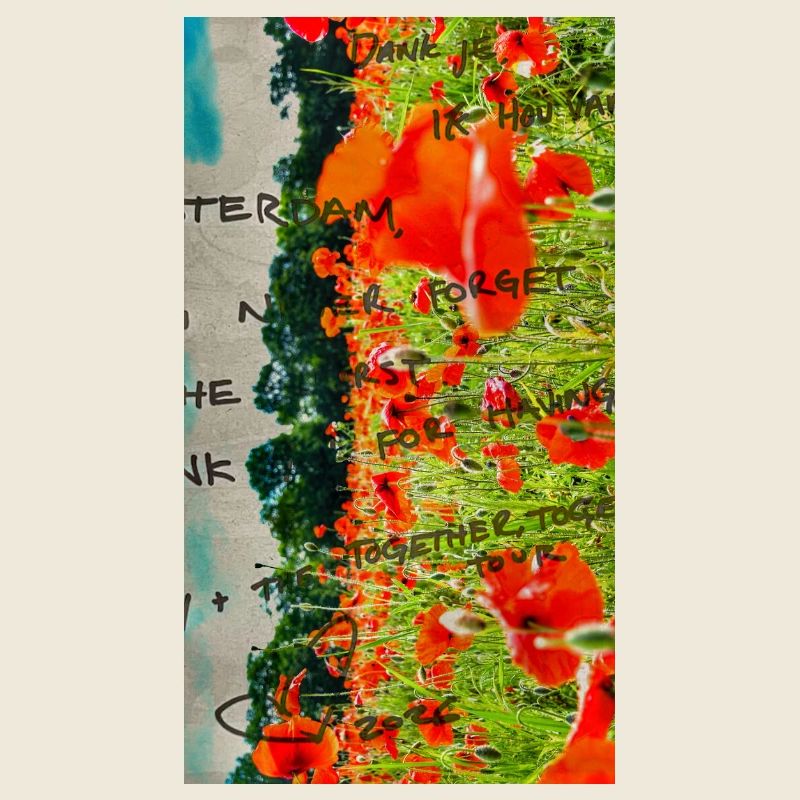 Mohnblumen auf dem Feld mit handgeschriebenem Text