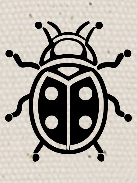 Ladybug