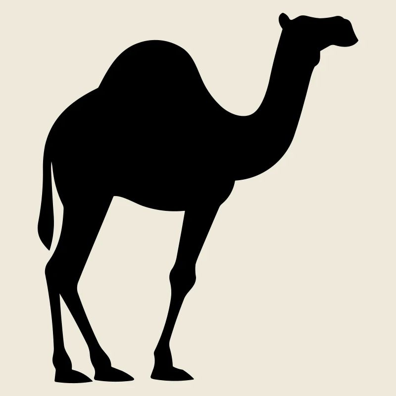 Camel