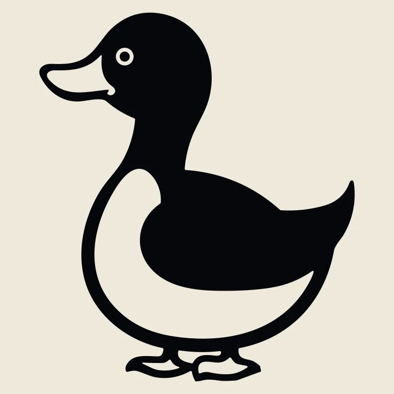 canard