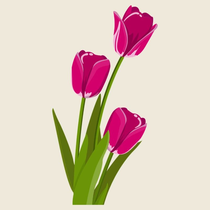 Idée de cadeau tulipe