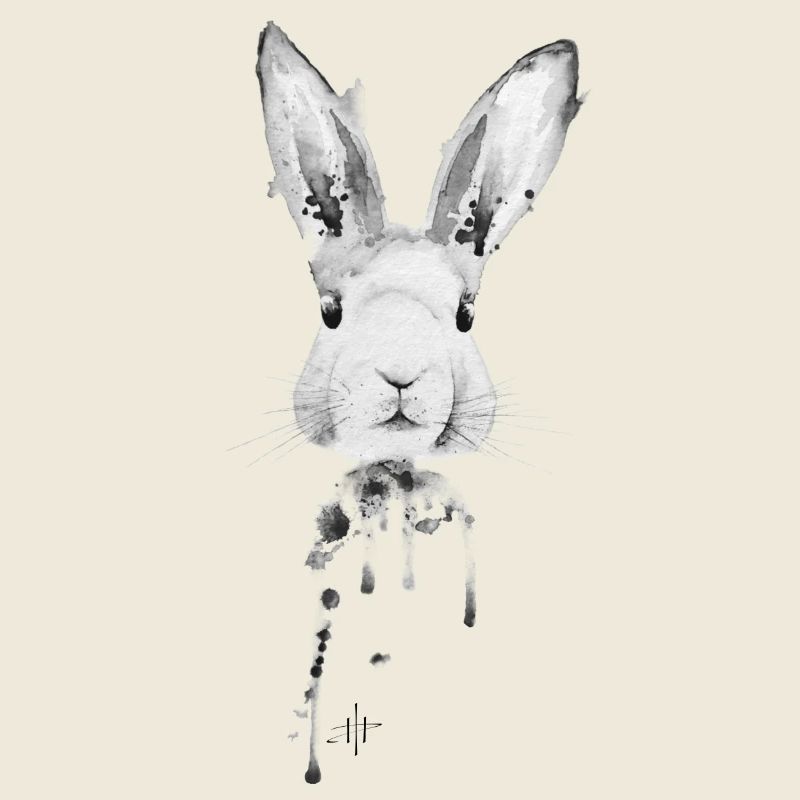 Lapin Noir Blanc