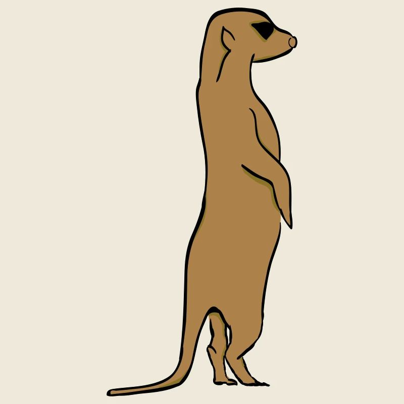 Erdmännchen