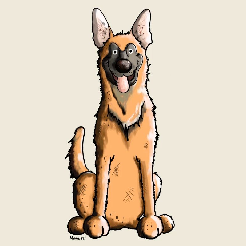 Fröhlicher Malinois