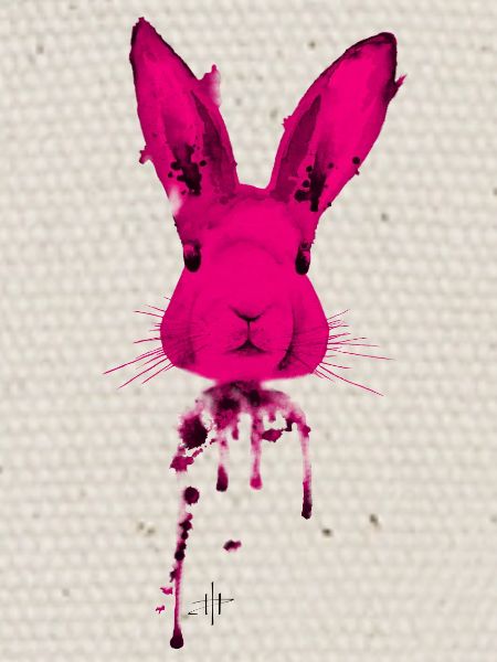 Rabbit Pink