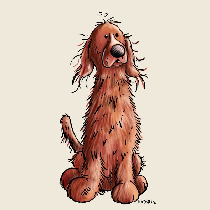 Setter irlandais rouge