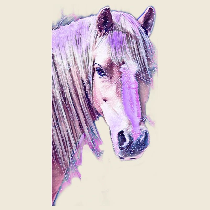 Welsh Pony