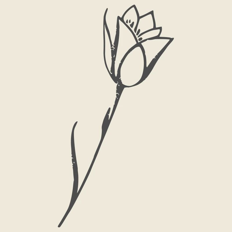 Tulip drawing flower motif plain